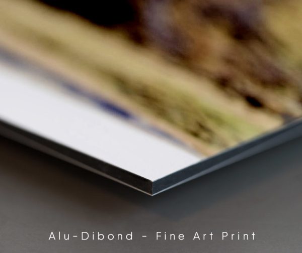 Close-up of Alu-Dibond print