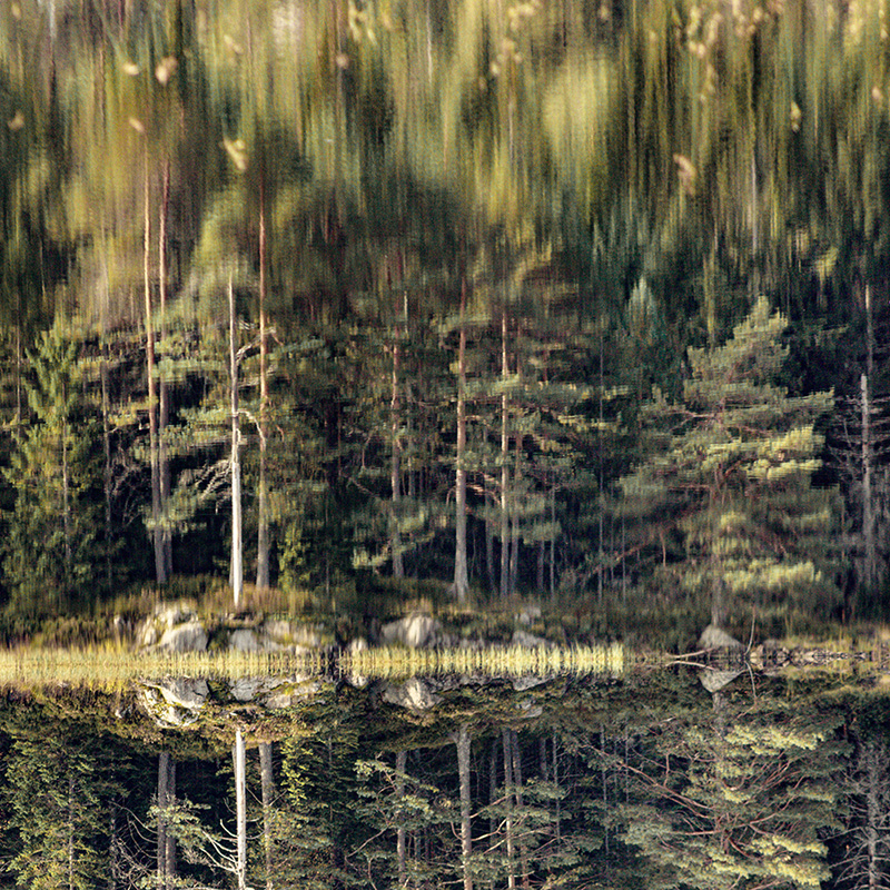 Norway Forests reflected in a serene lake, showcasing the duality of nature's beauty and interconnectedness