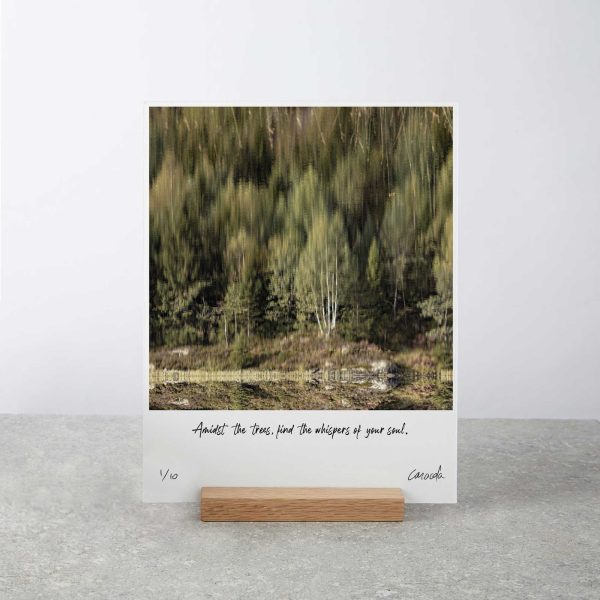 Forest Reflections Art Print with Wooden Stand