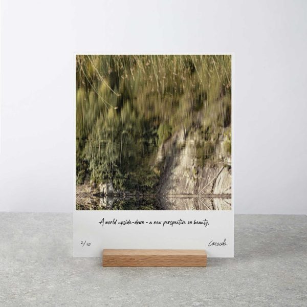 Abstract forest photography art board print on wooden stand.