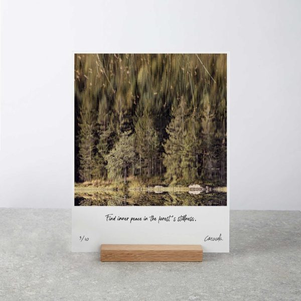 Lake Reflections in Nature - Art Board Print with Wooden Stand
