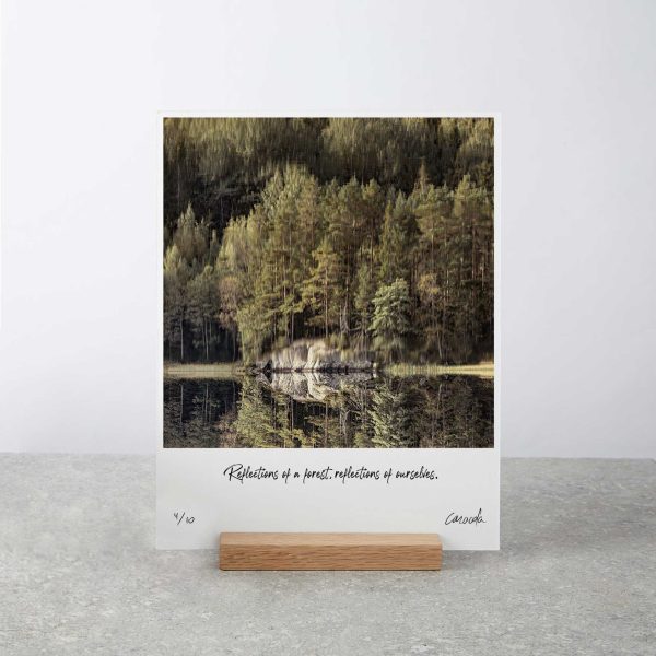 Dreamlike Forest Art Board Print with Wooden Stand