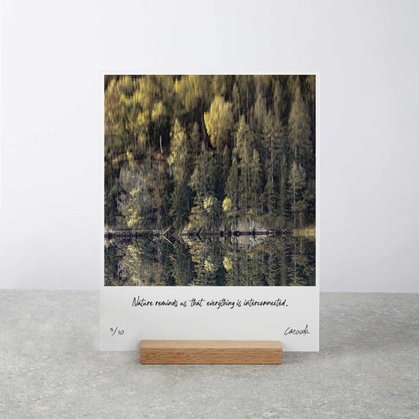 Flipped Forest - Art Board Print with Wooden Stand