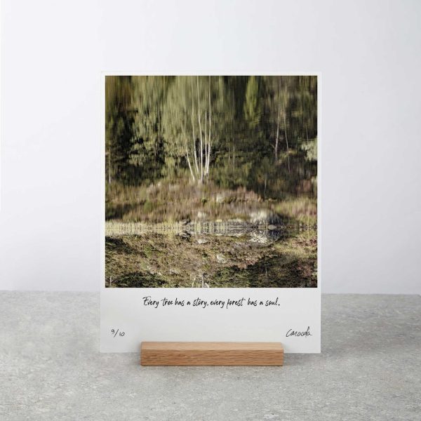 Abstract Nature Photography art board print with wooden stand